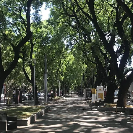 Alojate Mendoza - Departamento 