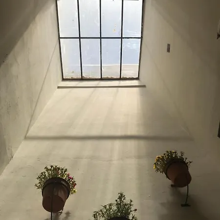Alojate Mendoza - Departamento 